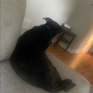 Meet your Posher, Richard